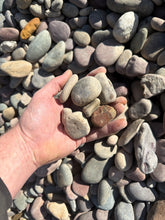 Load image into Gallery viewer, 40mm Montana Rainbow Rock – Loose Bulk Delivery