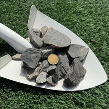 Load image into Gallery viewer, A shovel full of charcoal grey rocks of varying sizes, with a quarter placed on top to provide scale.