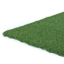 Load image into Gallery viewer, BERMUDA PRO PUTT