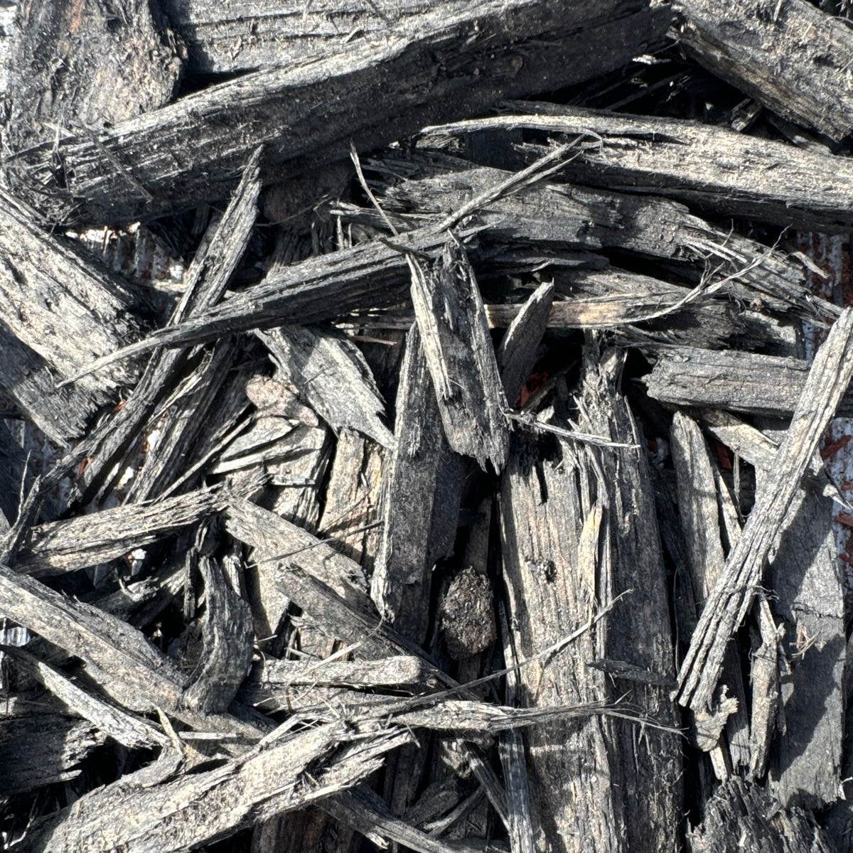 BULK BLACK PREMIUM MULCH CALGARY DIRECT LANDSCAPE SUPPLY Direct