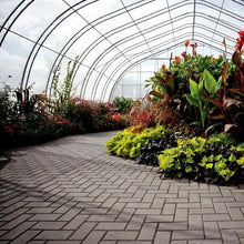 Load image into Gallery viewer, HOLLAND COMMERICIAL PAVERS 80MM - BARKMAN