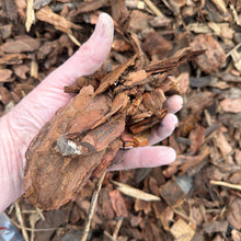 Load image into Gallery viewer, Hand holding a large piece of dried wood against a background of mulch