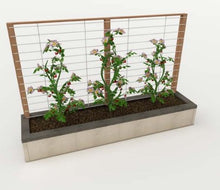 Load image into Gallery viewer, RAISED GARDEN