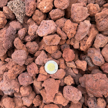 Load image into Gallery viewer, Close-up of red-brown rocks with a small white object in the center.