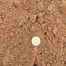 Load image into Gallery viewer, Close-up of brown soil with a coin for scale
