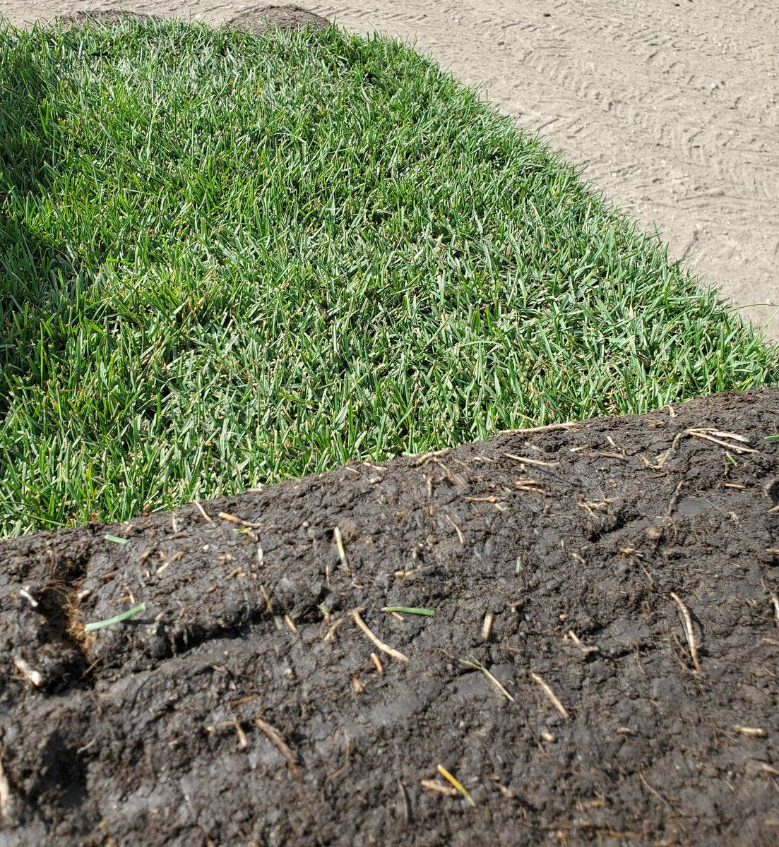Calgary Sod Supply Sod For Sale Direct Landscape Supply Direct Landscape Supply