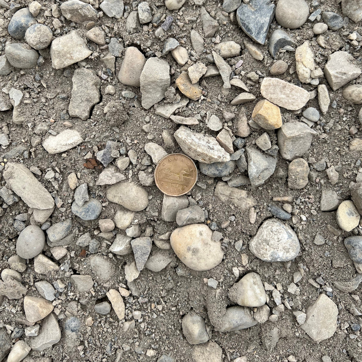 Road Crush Gravel Calgary | Base Material Guide for Patios & Driveways ...