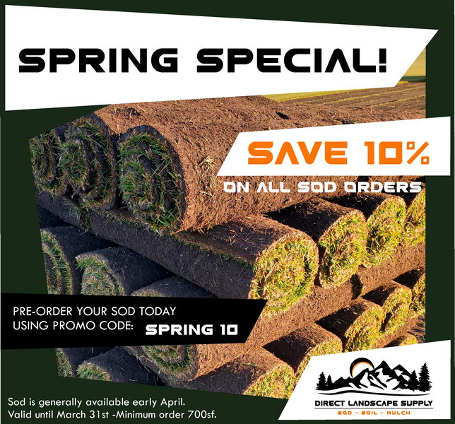 Spring Special