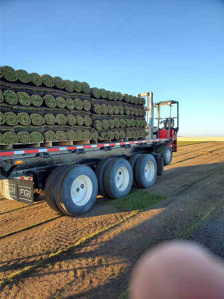 Grass - Sod for Sale Calgary- Direct Landscape Supply