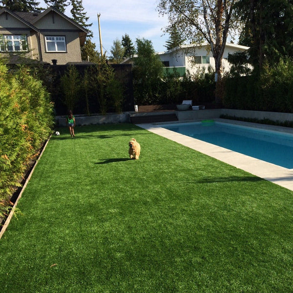 Why Sod over Artificial turf?