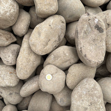 Load image into Gallery viewer, Close-up of gray stones with a white dot on a pile
