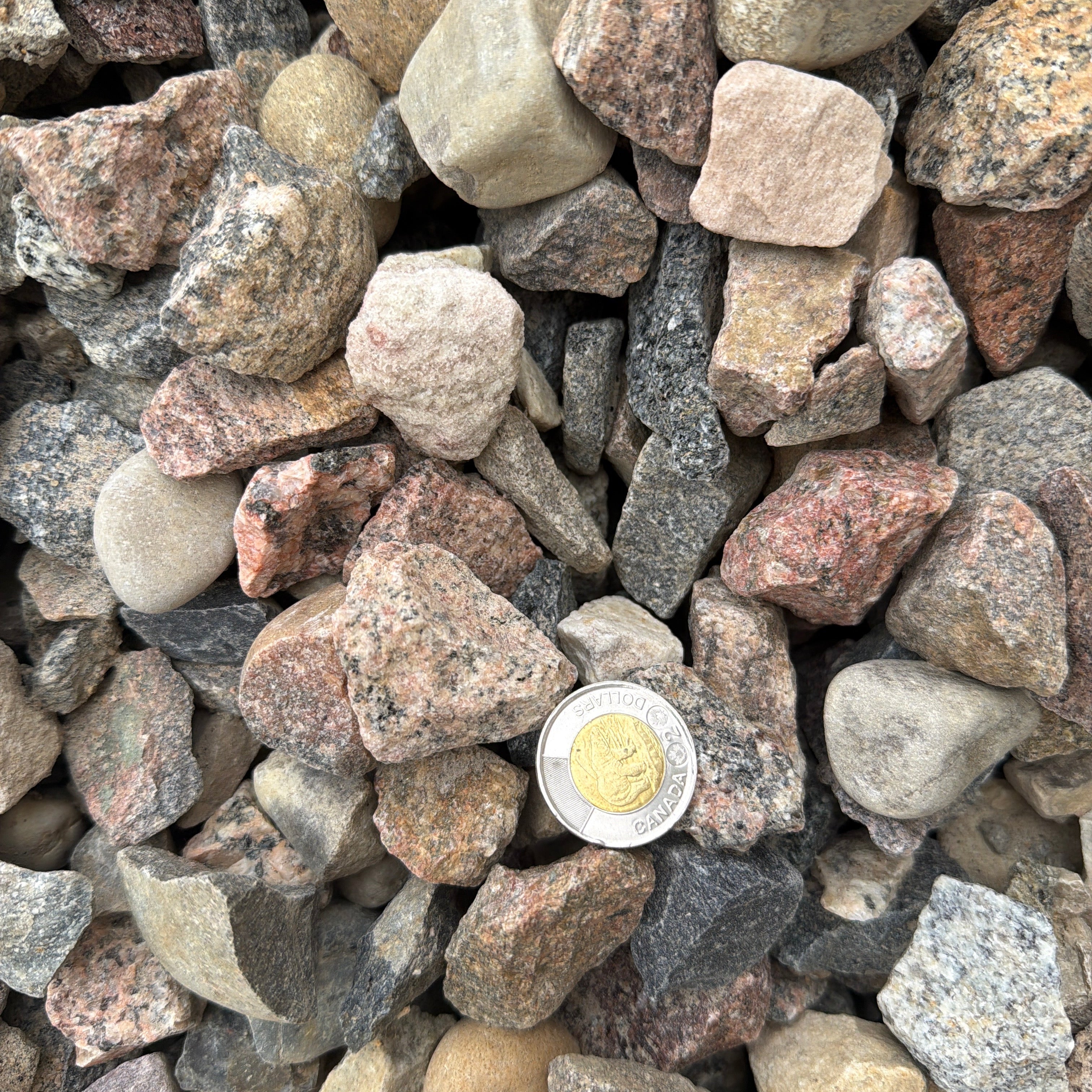 40mm Cyprus Rainbow Rock Calgary | Bulk Delivery & Decorative Rock