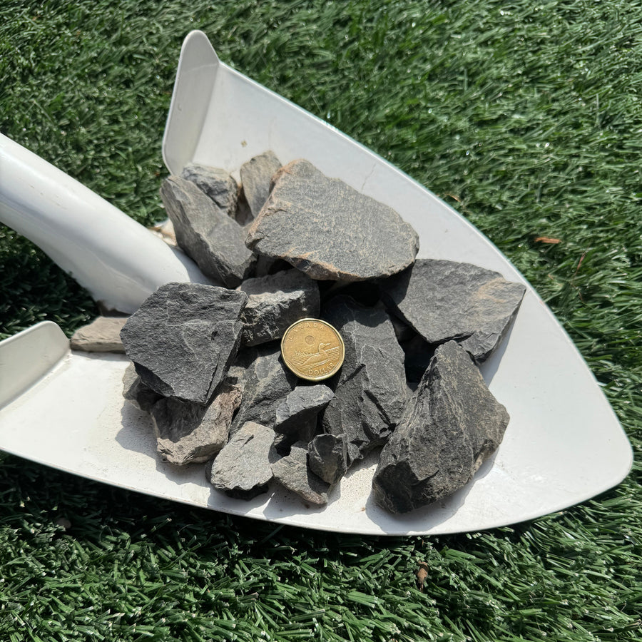 A shovel full of charcoal grey rocks of varying sizes, with a quarter placed on top to provide scale.