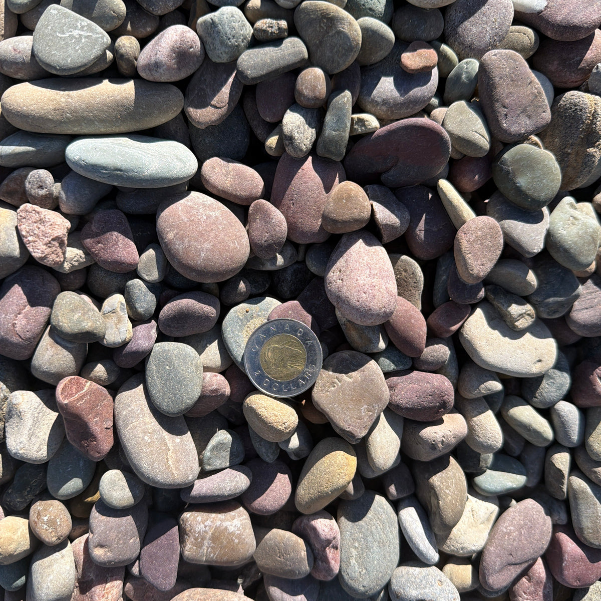 20mm Montana Rainbow Rock Calgary | Bulk Delivery & Decorative Rock ...