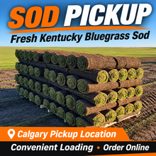 Load image into Gallery viewer, Fresh Kentucky Bluegrass sod stacked on wooden pallets at the sod farm. Order online for convenient pickup at Direct Landscape Supply's Calgary pickup location.
