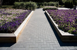 HOLLAND PAVERS Barkman