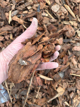Load image into Gallery viewer, Hand holding a large piece of dried wood against a background of mulch
