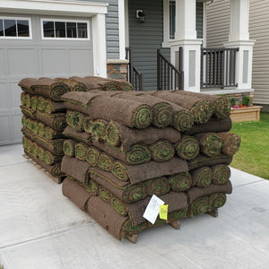 Calgary Sod