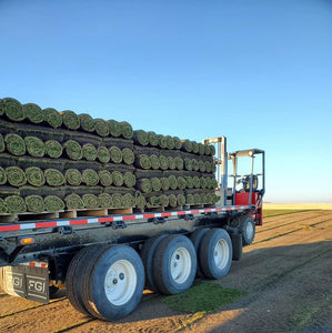 1 Pallet of Sod - Free Delivery Calgary