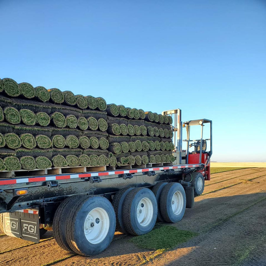 Full Pallet Sod Calgary – DLS Select Kentucky Bluegrass Sod