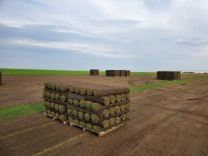 Pallets of Fresh Sod