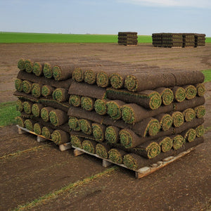 Pallets of Fresh Sod