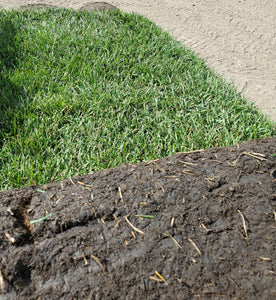 Roll of Farm Fresh Sod